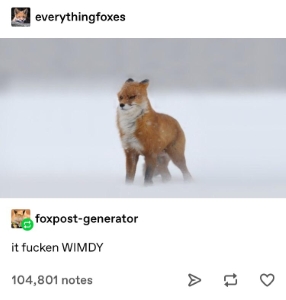 It's heckin wimdy